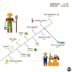 tohumluk_üretimleri_istatistik2