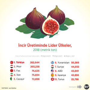 incir_üretiminde_lider_ülkeler_istatistik