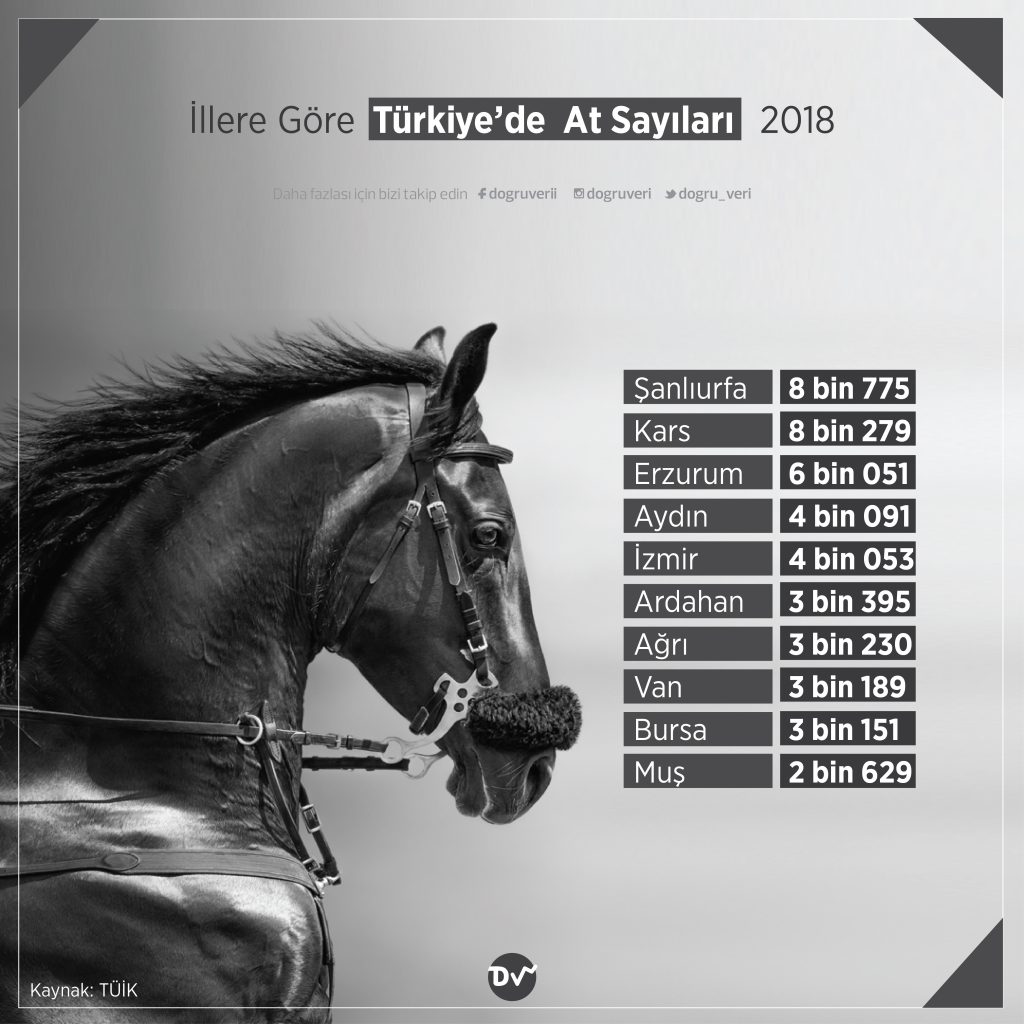illere gore turkiye de at sayilari 2018 dogru veri