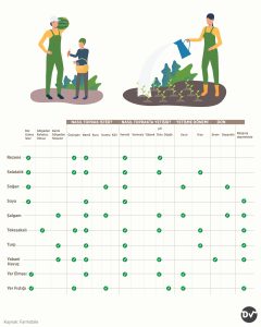 tarım_bitki_yetiştirme_istatistik2