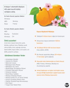 bugün_günlerden_malatya_istatistik2