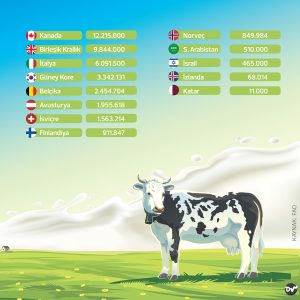 süt_ineği_sayısı_istatistik