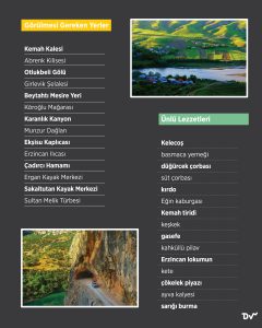 bugün_günlerden_erzincan_istatistik2