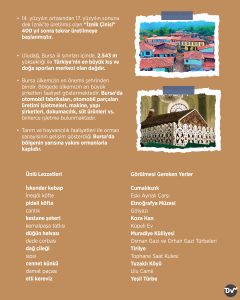 bugün_günlerden_BURSA_istatistik_2