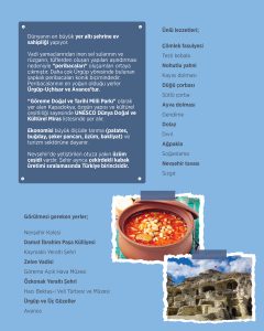 bugün_günlerden_NEVŞEHİR_istatistik_2