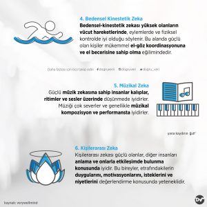 zeka_türleri_2_istatistik