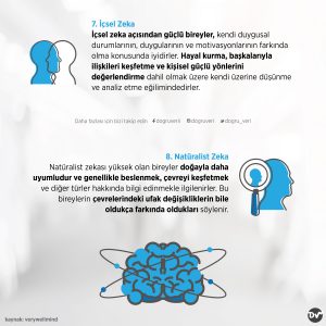 zeka_türleri_3_istatistik