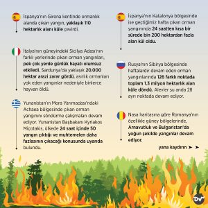 ağaçlar_2_istatistik