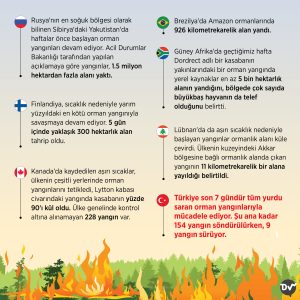 ağaçlar_3_istatistik