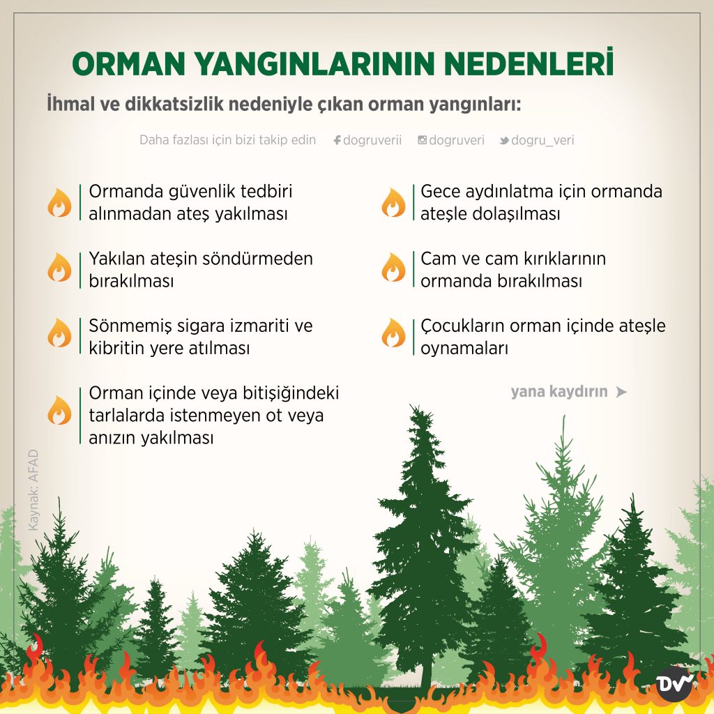 ORMAN YANGINLARININ NEDENLERİ