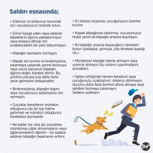 köpek_saldırısından_korunmak_2_istatistik